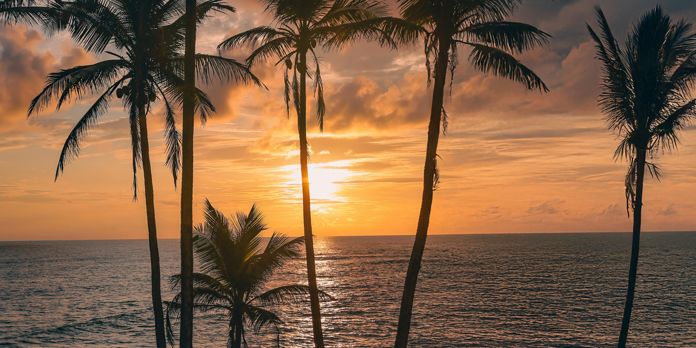 The Sun on the Sea Coming Home to Sri Lanka’s Coastline 1400 X 700 A